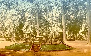 SIDI BEL ABBES 535  JARDIN
